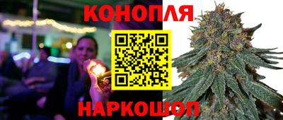 гашик Гагарин